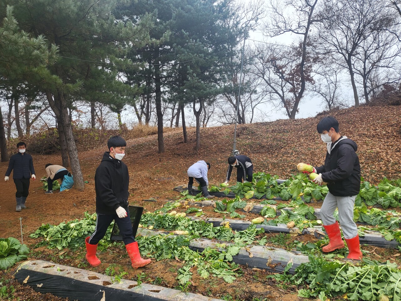 일죽고등학교, ‘지역사회와 함께하는 농작물 판매-기부 프로젝트’ 진행